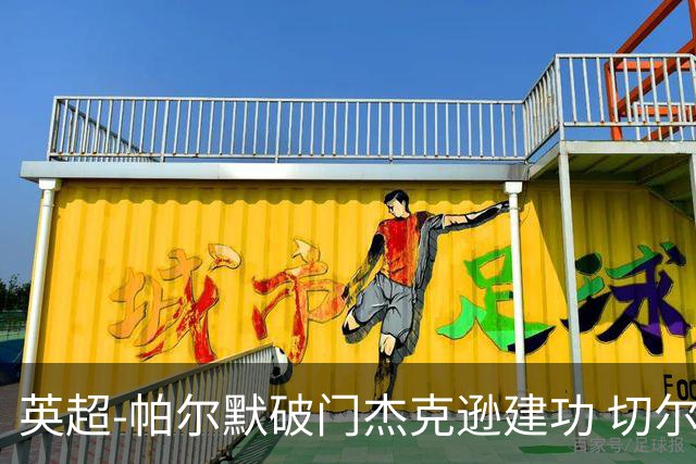 英超-帕尔默破门杰克逊建功 切尔西2-1纽卡斯尔